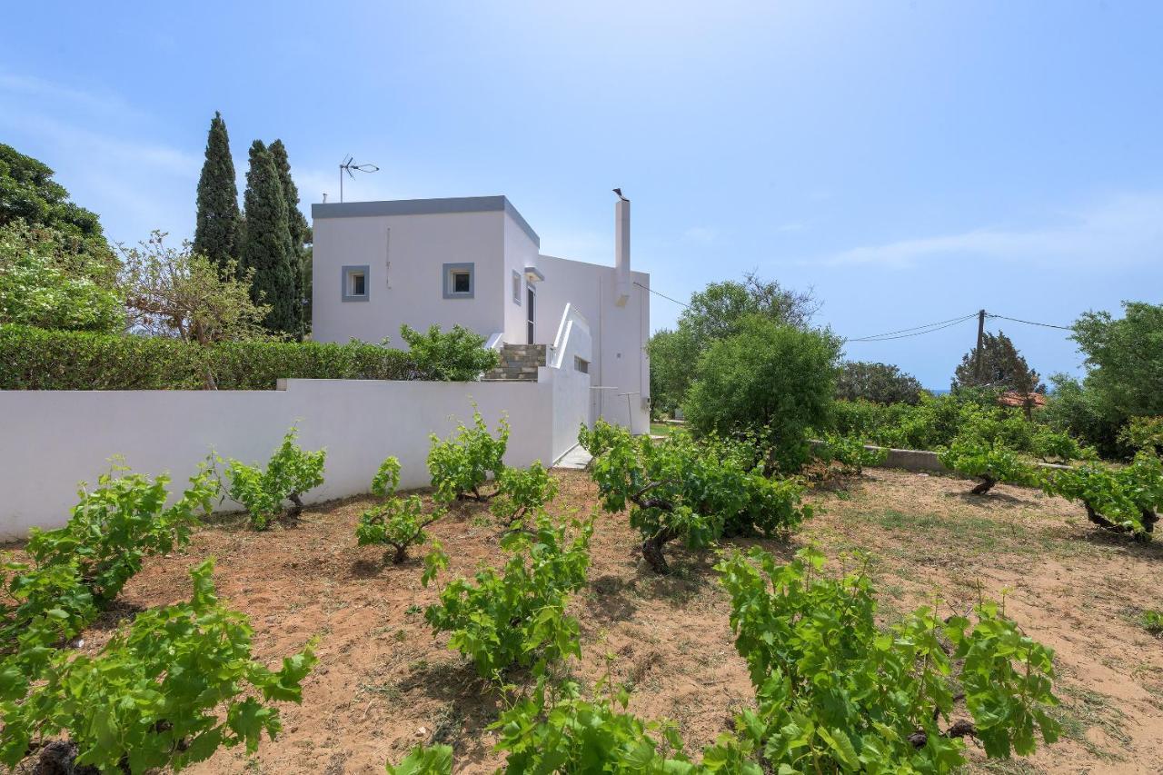 Villa Evelyn Pefki 外观 照片